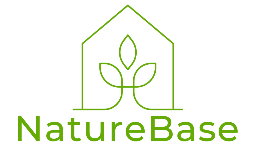 Transparent Logo1